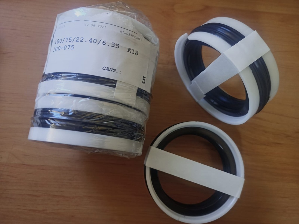 Junta Piston 100*075*22 5 Piezas