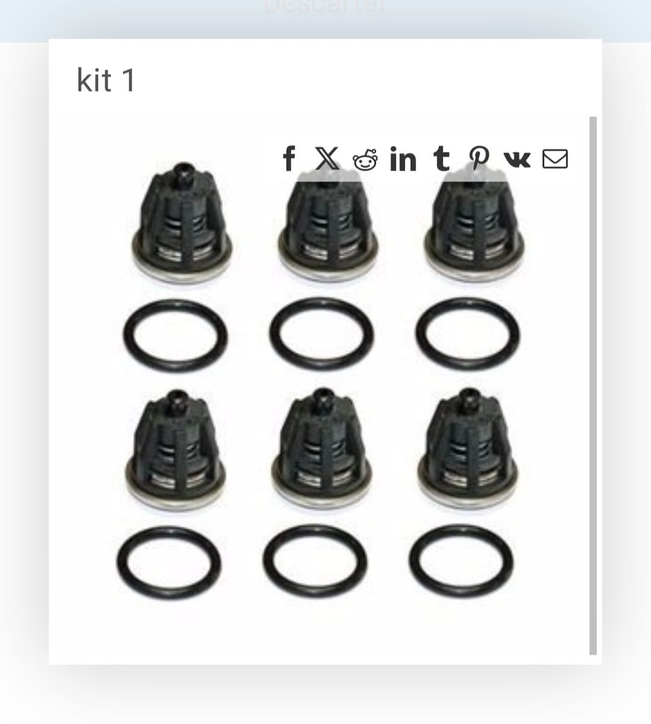 Kit Nº 1 Bomba Interpump WS202
