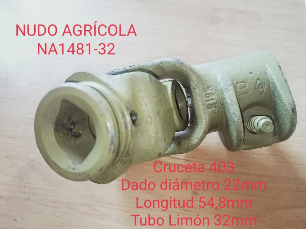 Nudo Agricola 1481/32